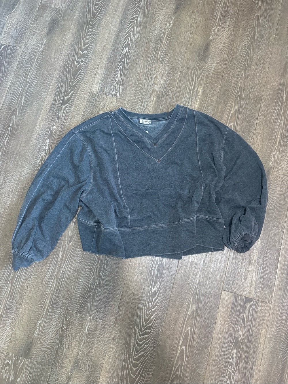 Free people sweat shirt